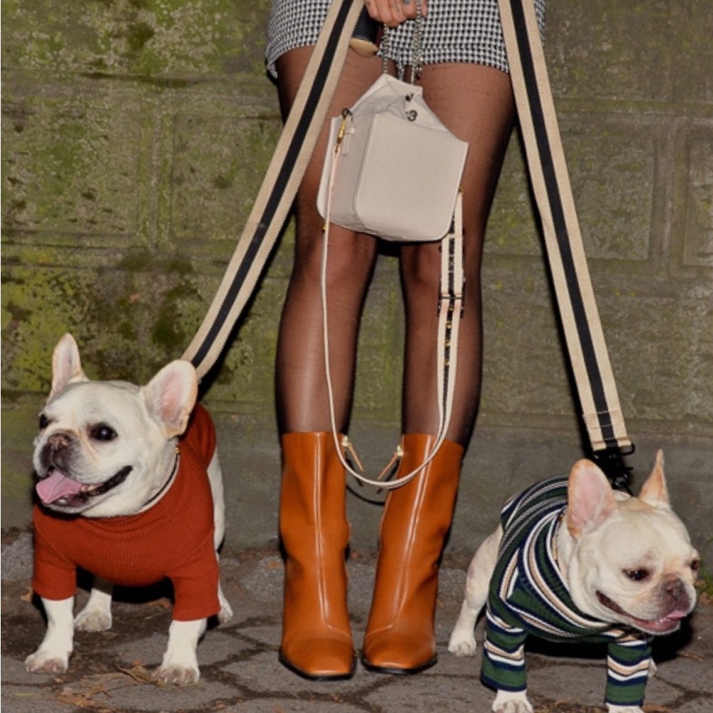 Saint Rue Le Classic Dog Collar Leash Bag strap set in Rue Cambon No.1 / Xs